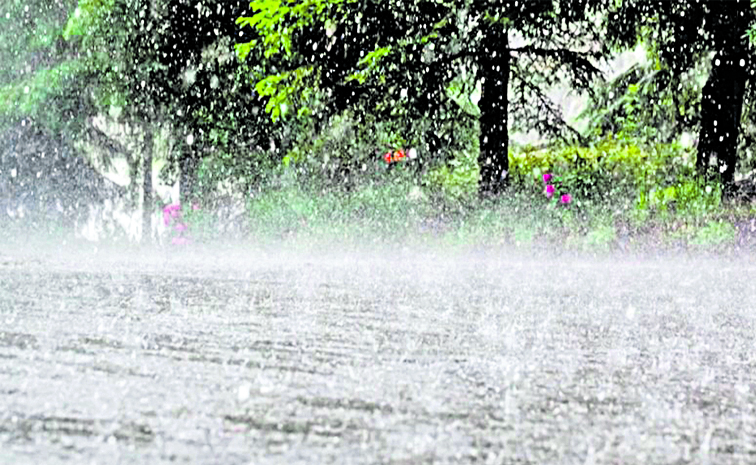 rains.jpg