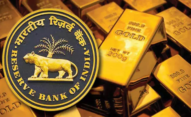 rbi01.jpg