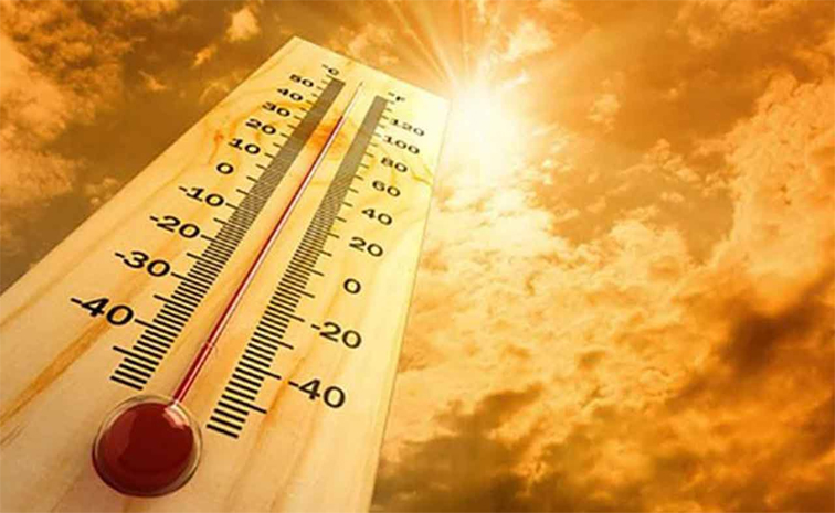 summer_2.jpg