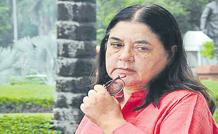 MANEKA-GANDHI-2.jpg