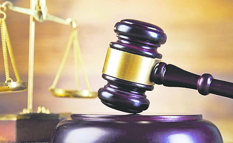 law_204.jpg