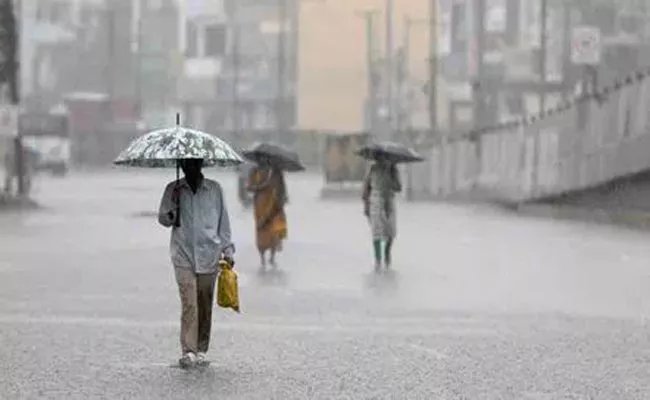 rains_0.jpg_0.webp