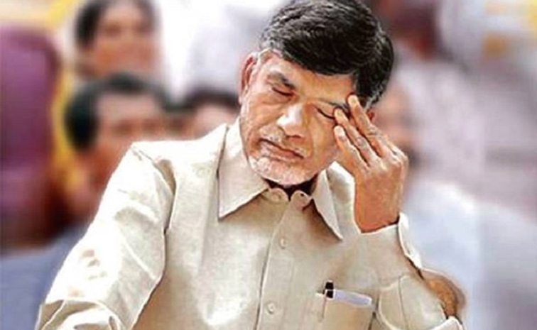 chandrababu1.jpg