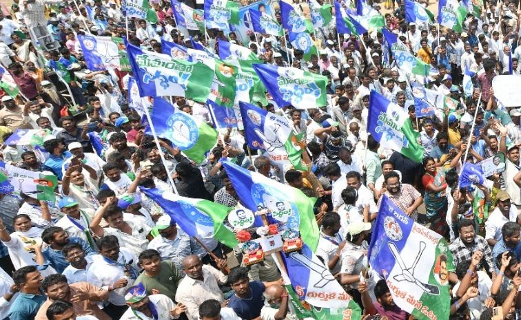 ysrcp1.jpg