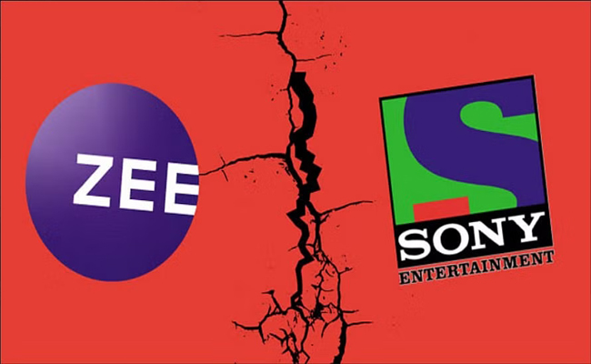 zee01.jpg