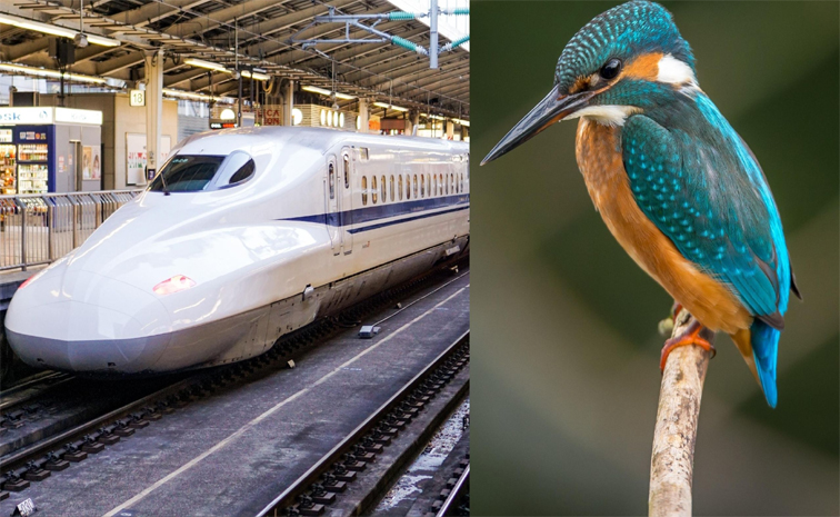 Bird1.jpg