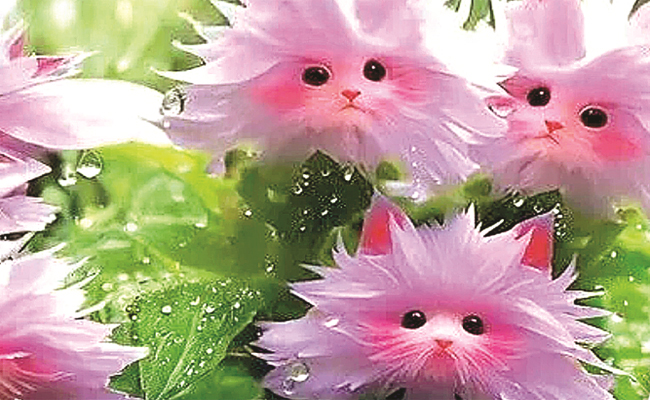 Flowers.jpg