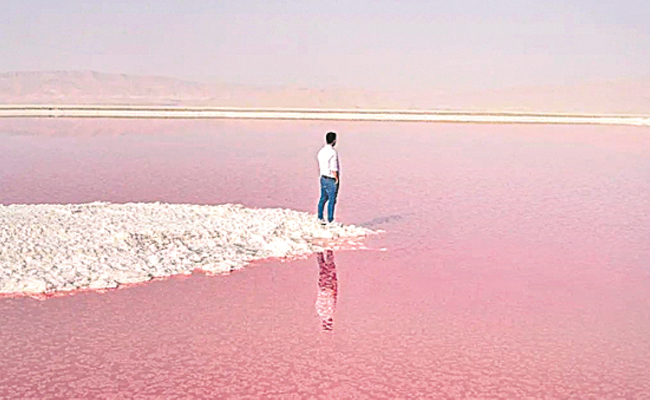 Salt-Lake.jpg
