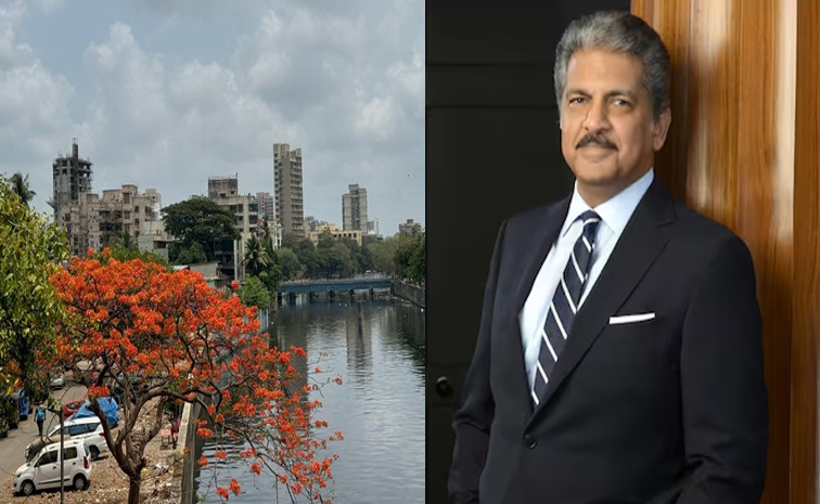 anand-mahindra.jpg