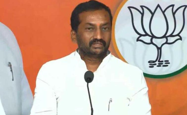 bjp_4.jpg