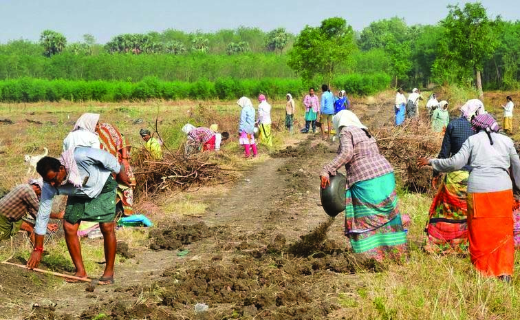 ap_20upadhi.jpg