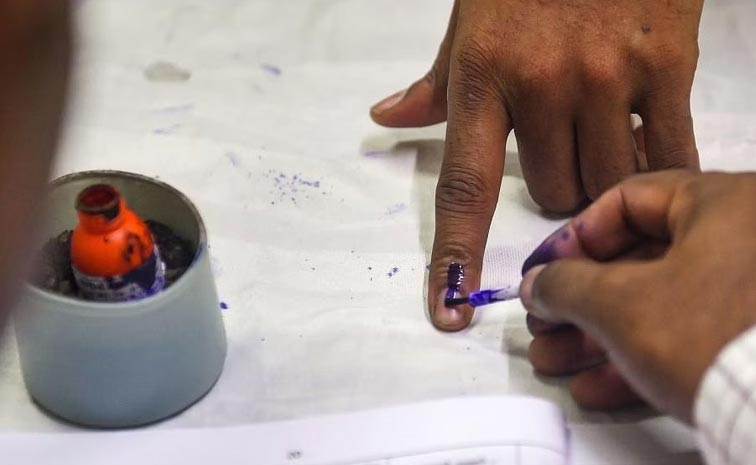 mlc-bypoll.jpg