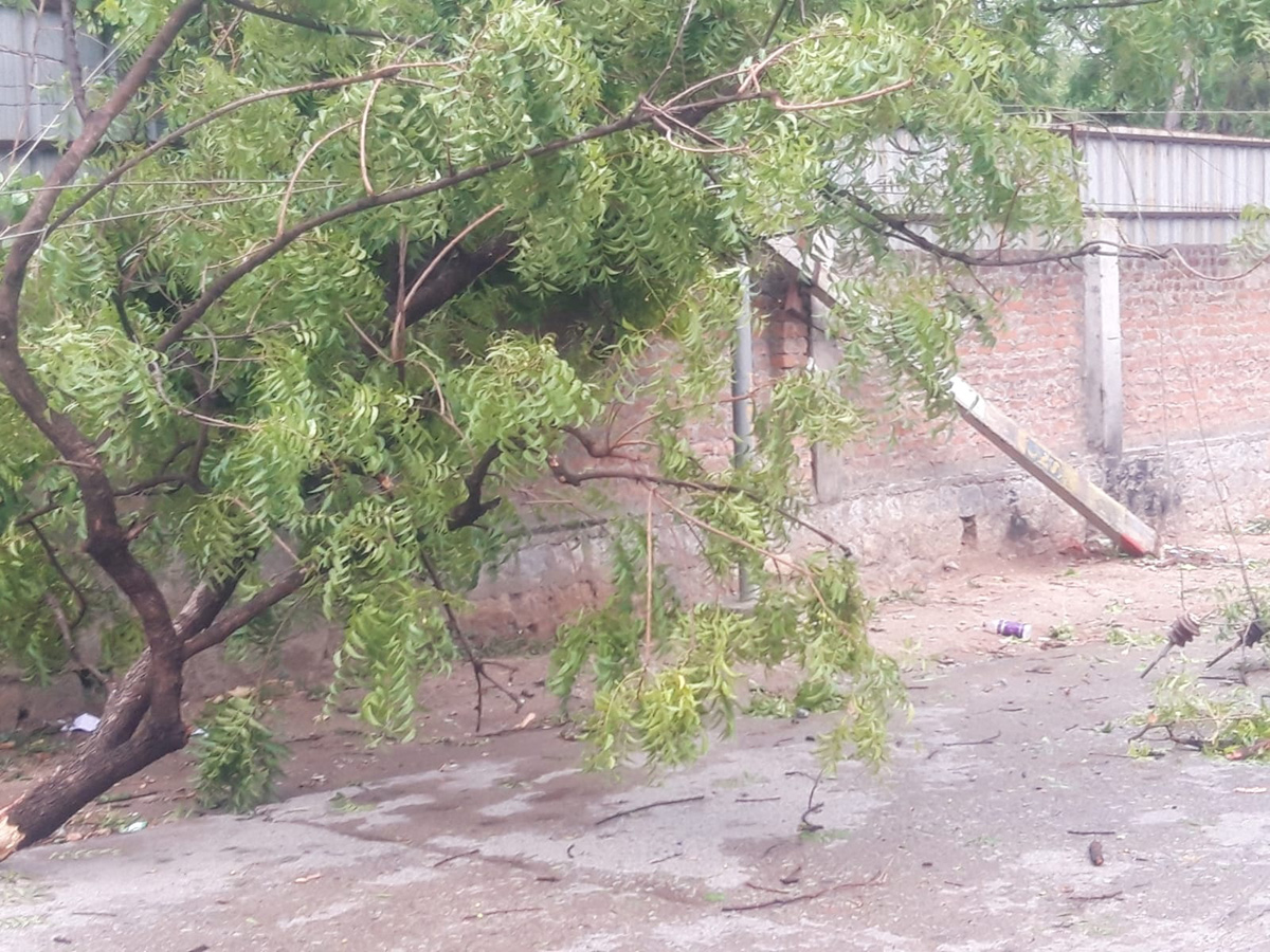 rain_20and_20gusty_20winds_20windstorm_20in_20telangana-_20_2813_29.jpg 13