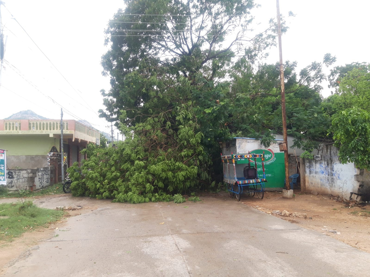 rain_20and_20gusty_20winds_20windstorm_20in_20telangana-_20_2815_29.jpg 14