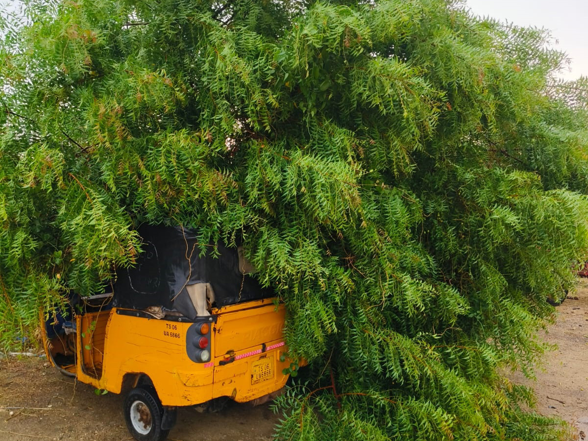 rain_20and_20gusty_20winds_20windstorm_20in_20telangana-_20_281_29.jpg 1
