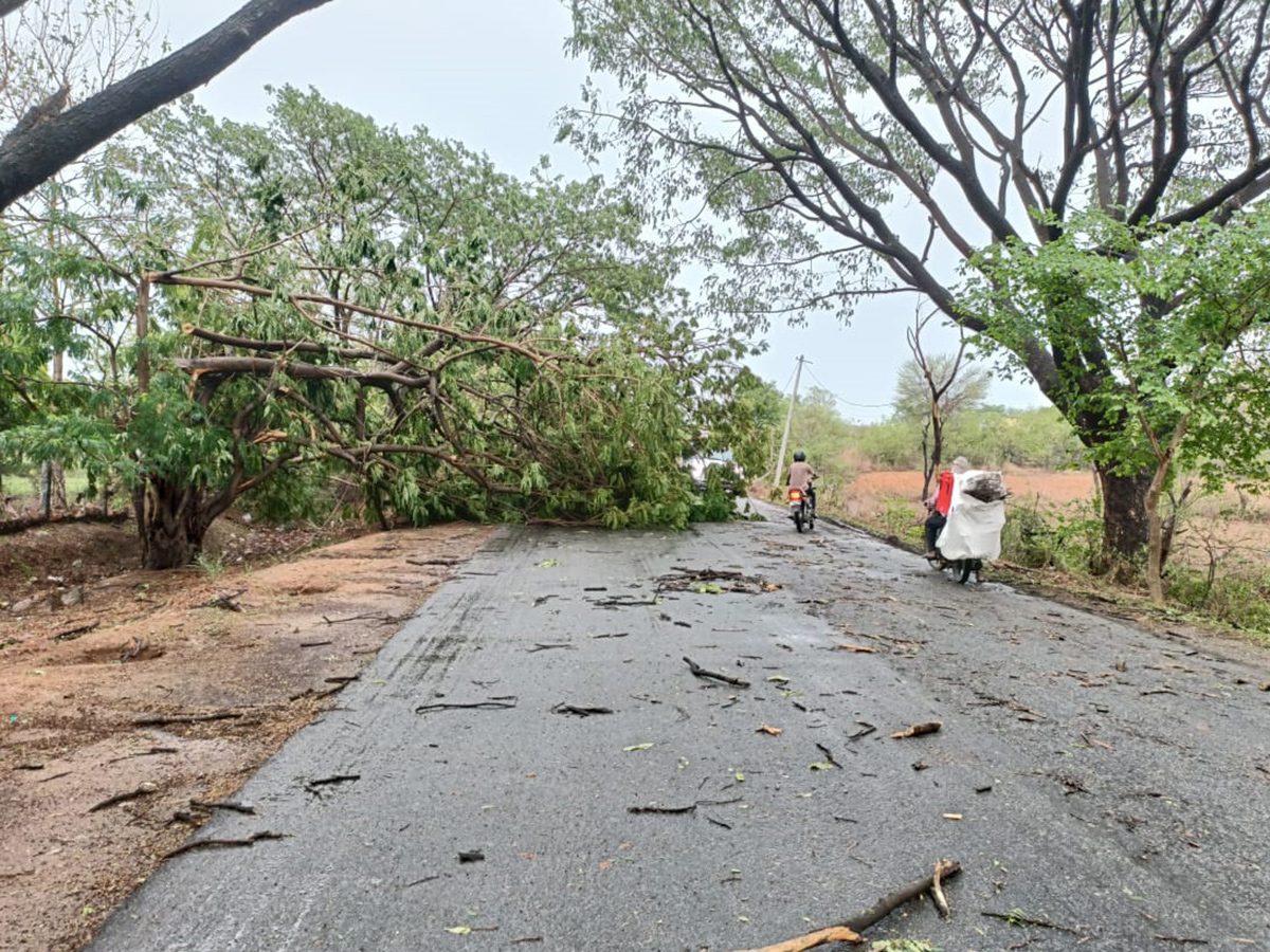 rain_20and_20gusty_20winds_20windstorm_20in_20telangana-_20_2822_29.jpg 21