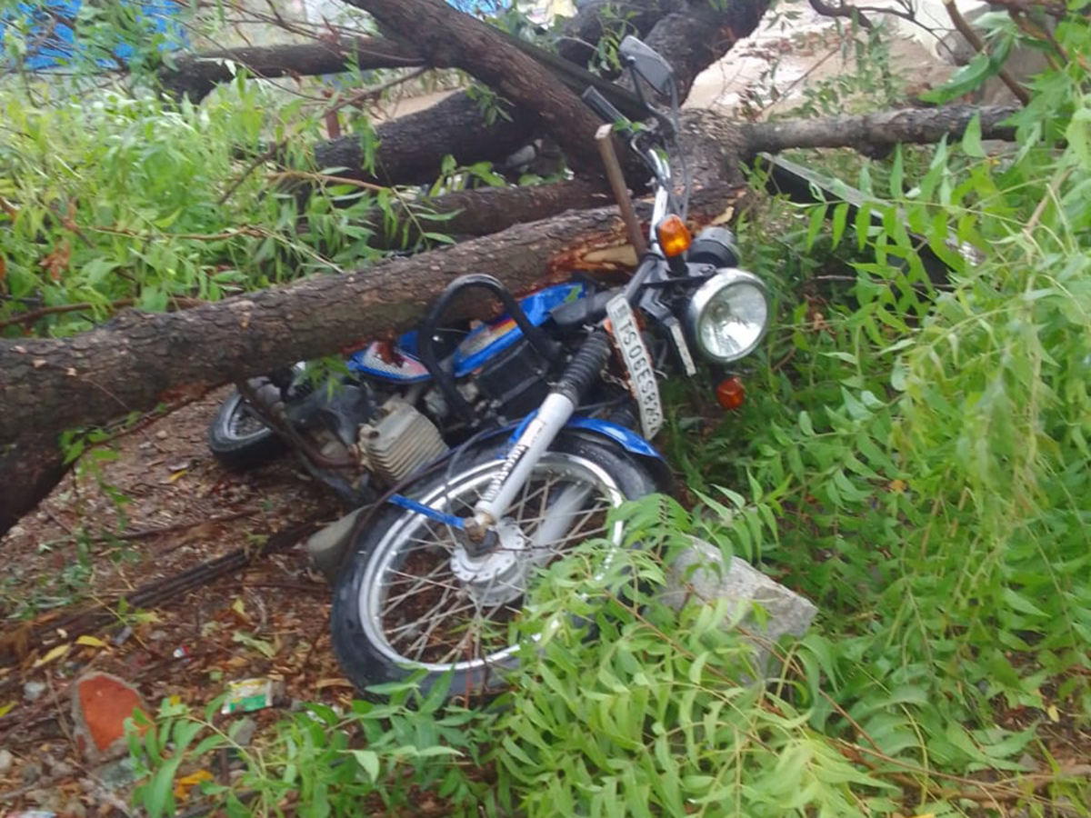 rain_20and_20gusty_20winds_20windstorm_20in_20telangana-_20_283_29.jpg 3