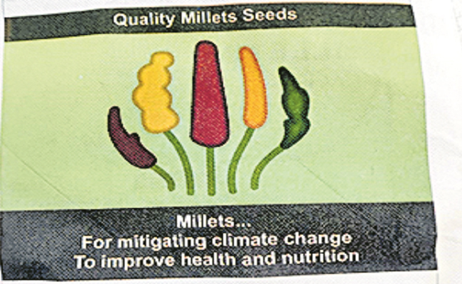 Seeds.jpg