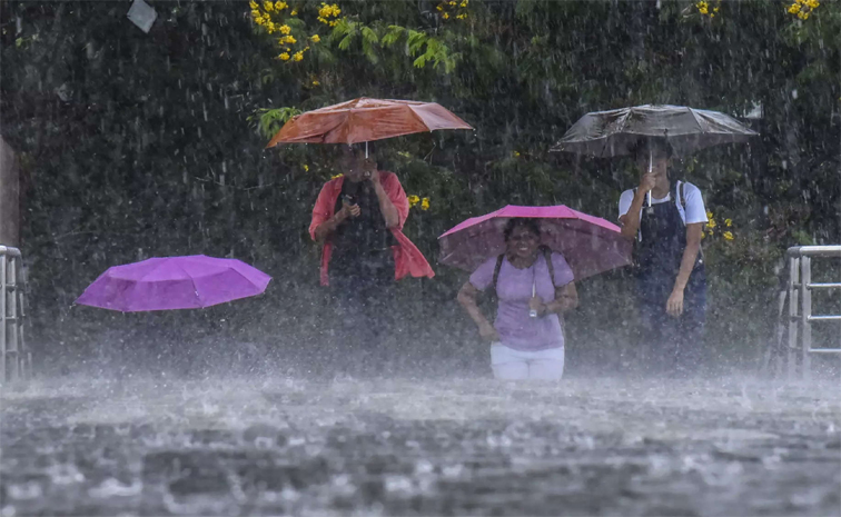 rains.jpg