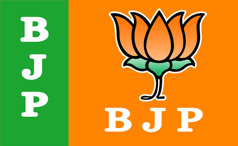 bjp_4.jpg