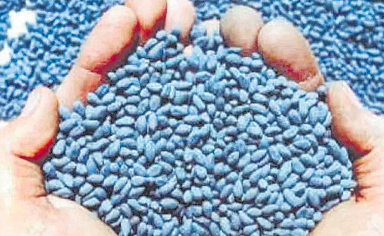 seeds.jpg