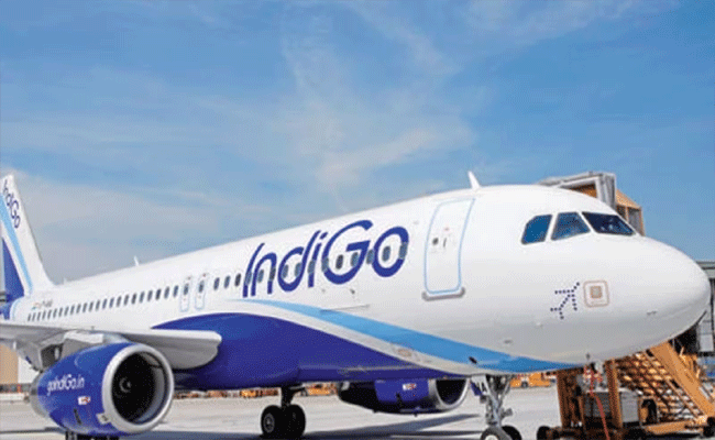 IndiGo.gif