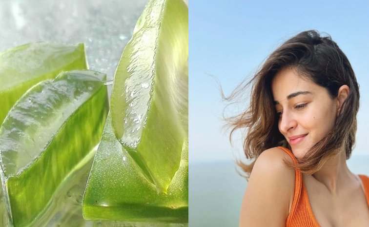 aloevera_beauty.jpg