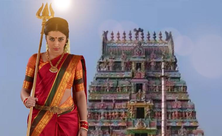 trisha.jpg