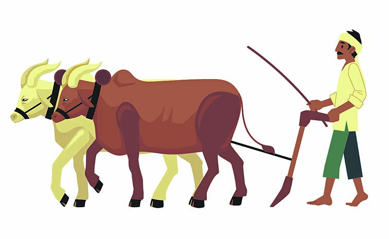 FARMER.jpg