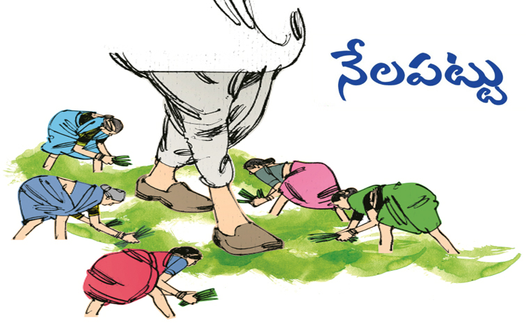 Nelapattu.jpg