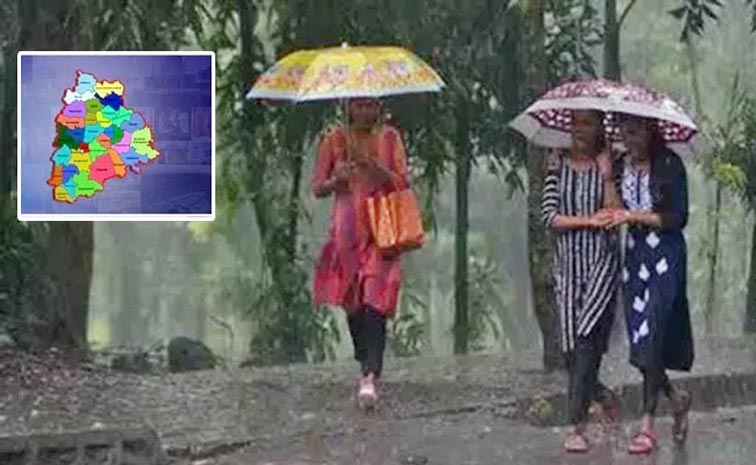 TS-Rains.jpg