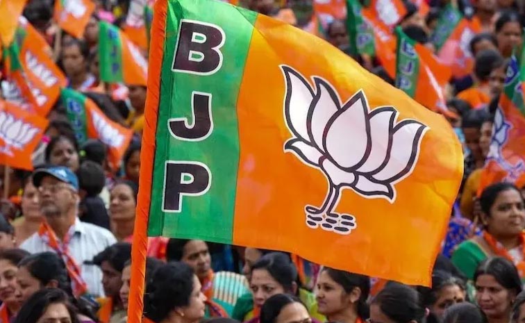 bjp_4.jpg