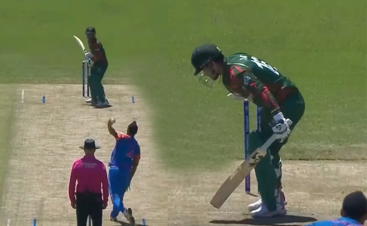 cricket.jpg