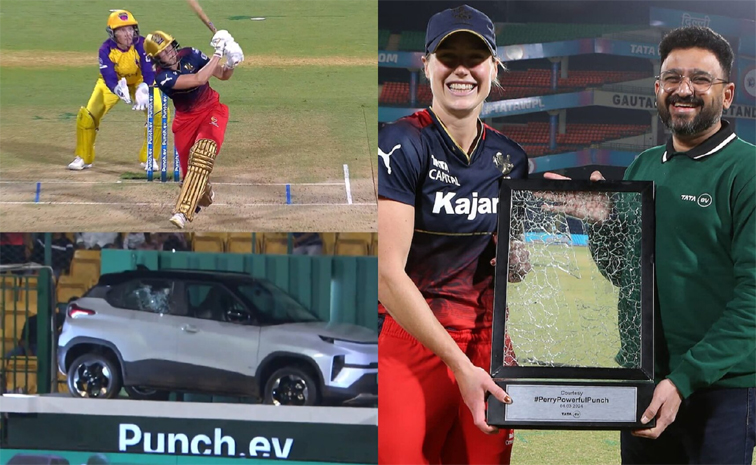 ipl_5.jpg