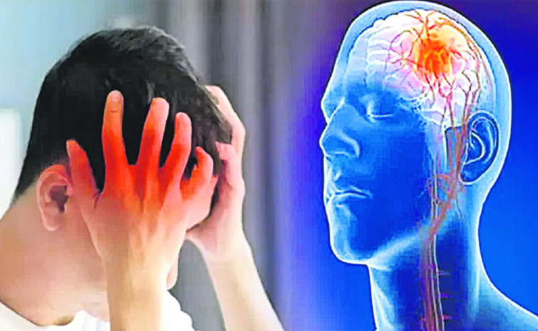brain.jpg