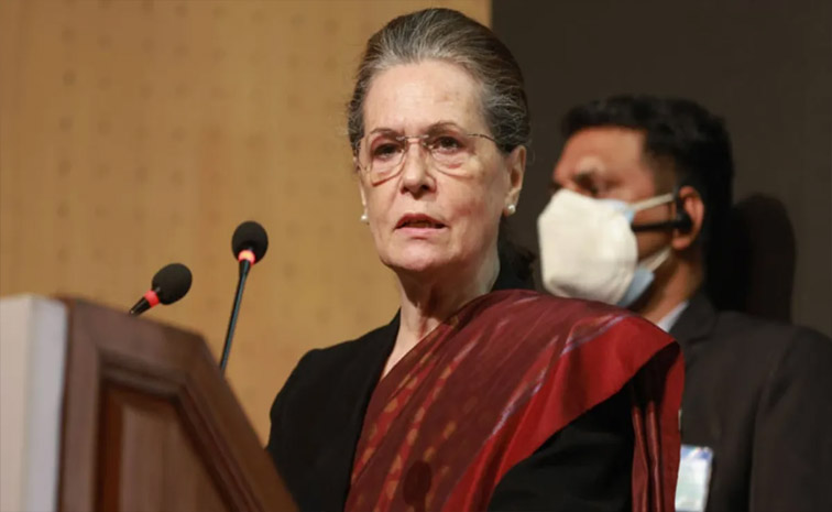 sonia_0.jpg