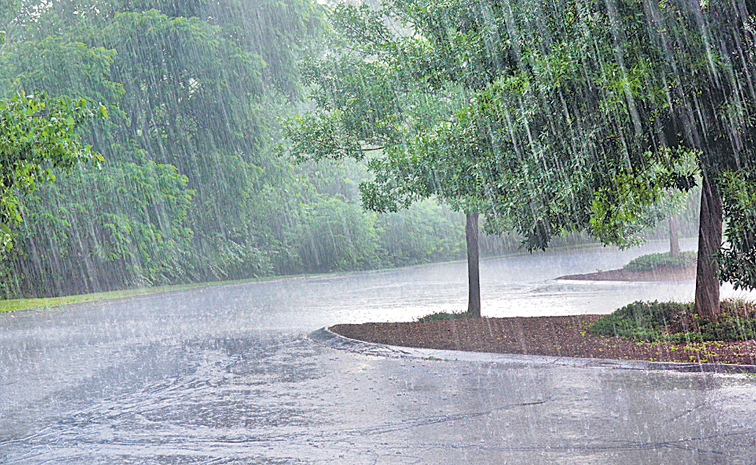 RAIN111.jpg