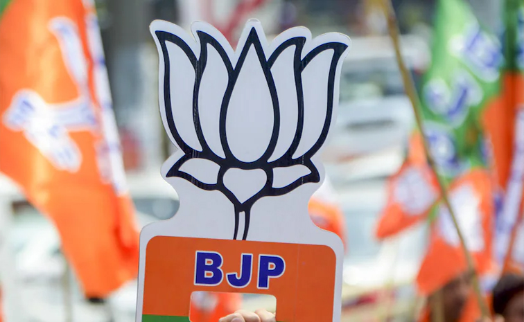 bjp_4_2.jpg