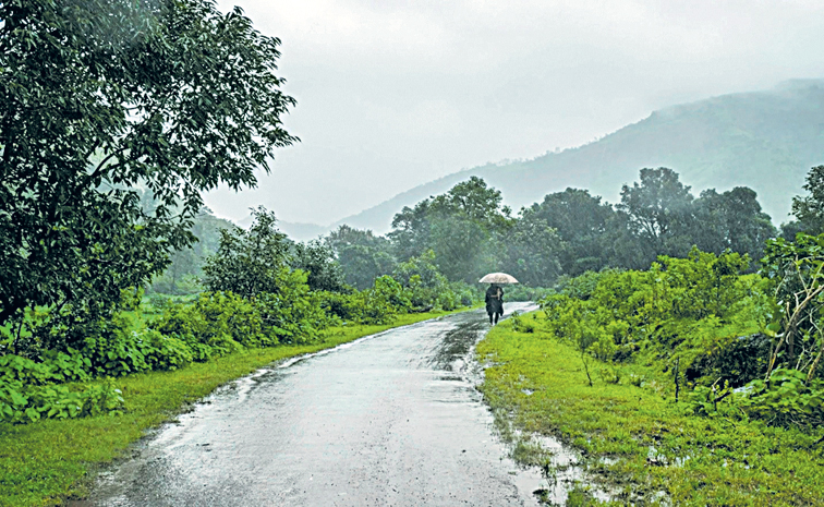 mansoon-1.jpg
