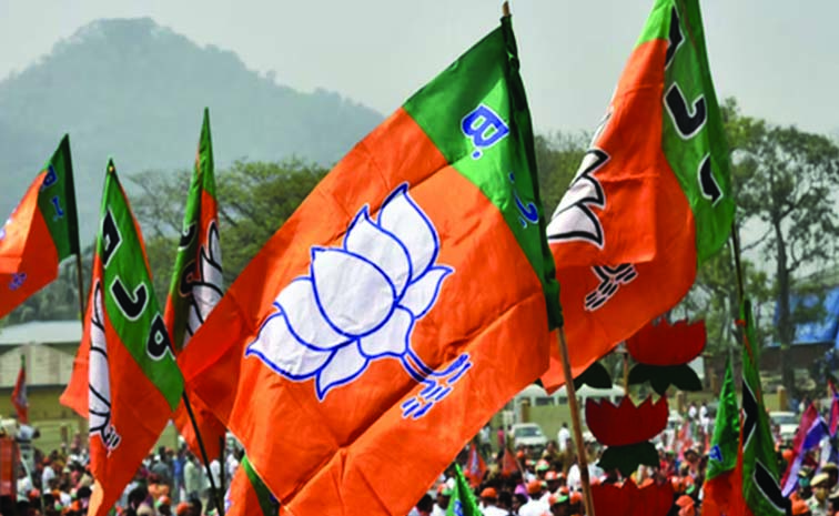22bjp.jpg