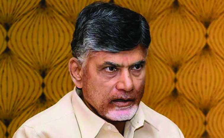 Chandrababu.jpg
