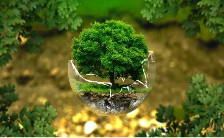 Env4.jpg