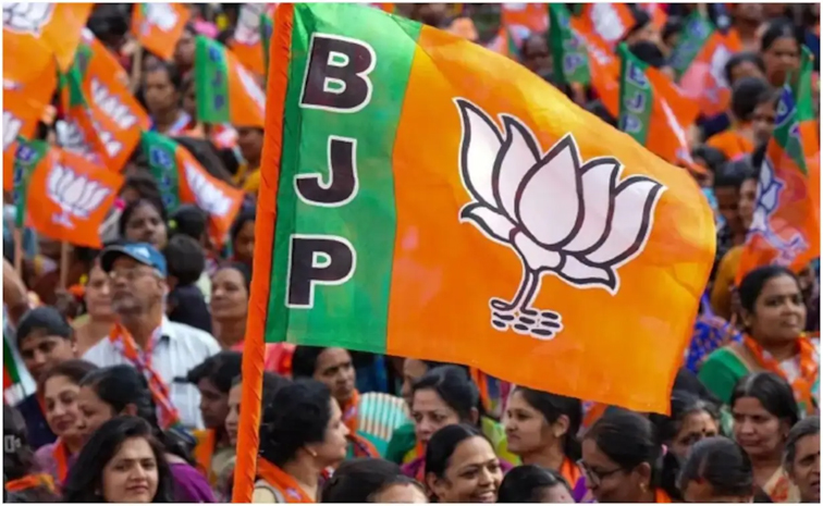 bjp111.jpg
