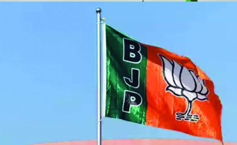 bjp333.jpg