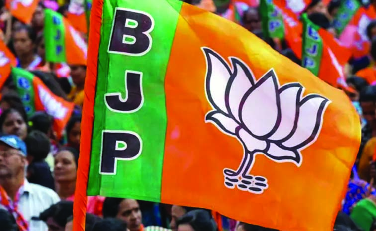 bjp_4.jpg