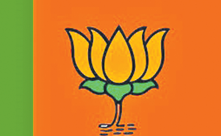 bjp_4_0.jpg
