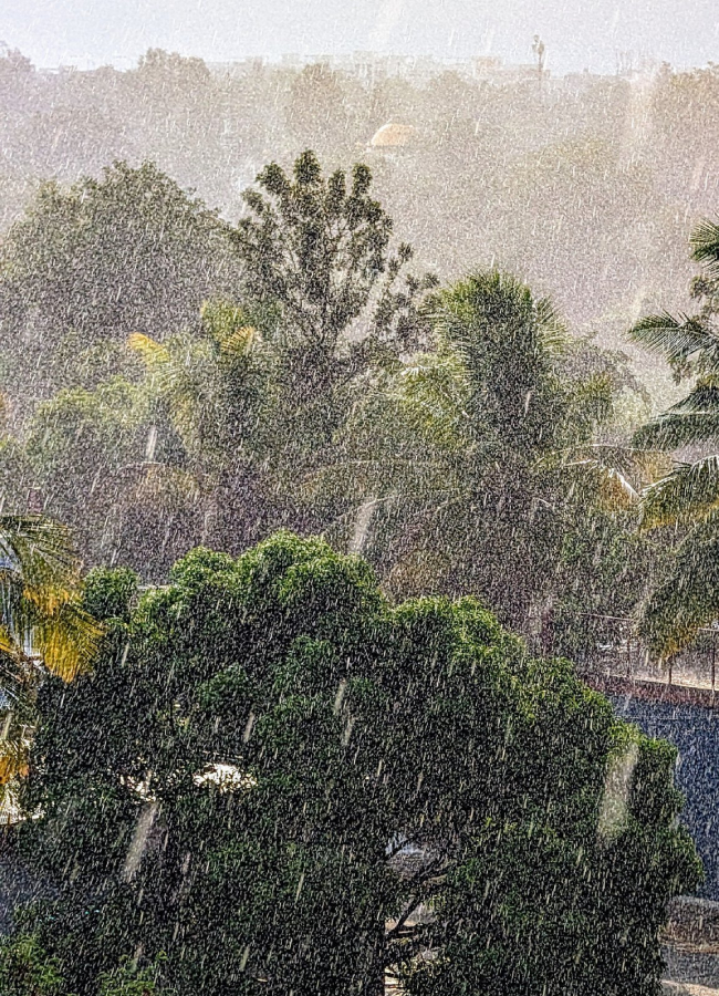 hyd_rains_04.jpg 12