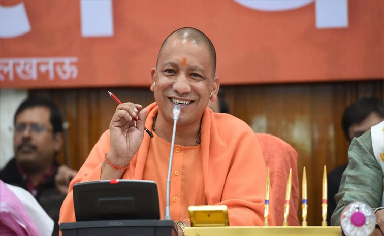 yogi.jpg