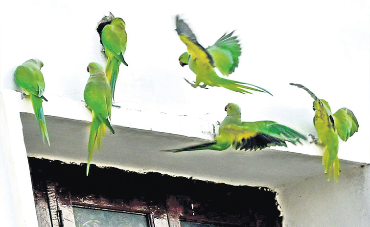 AC-Karimnagar.jpg