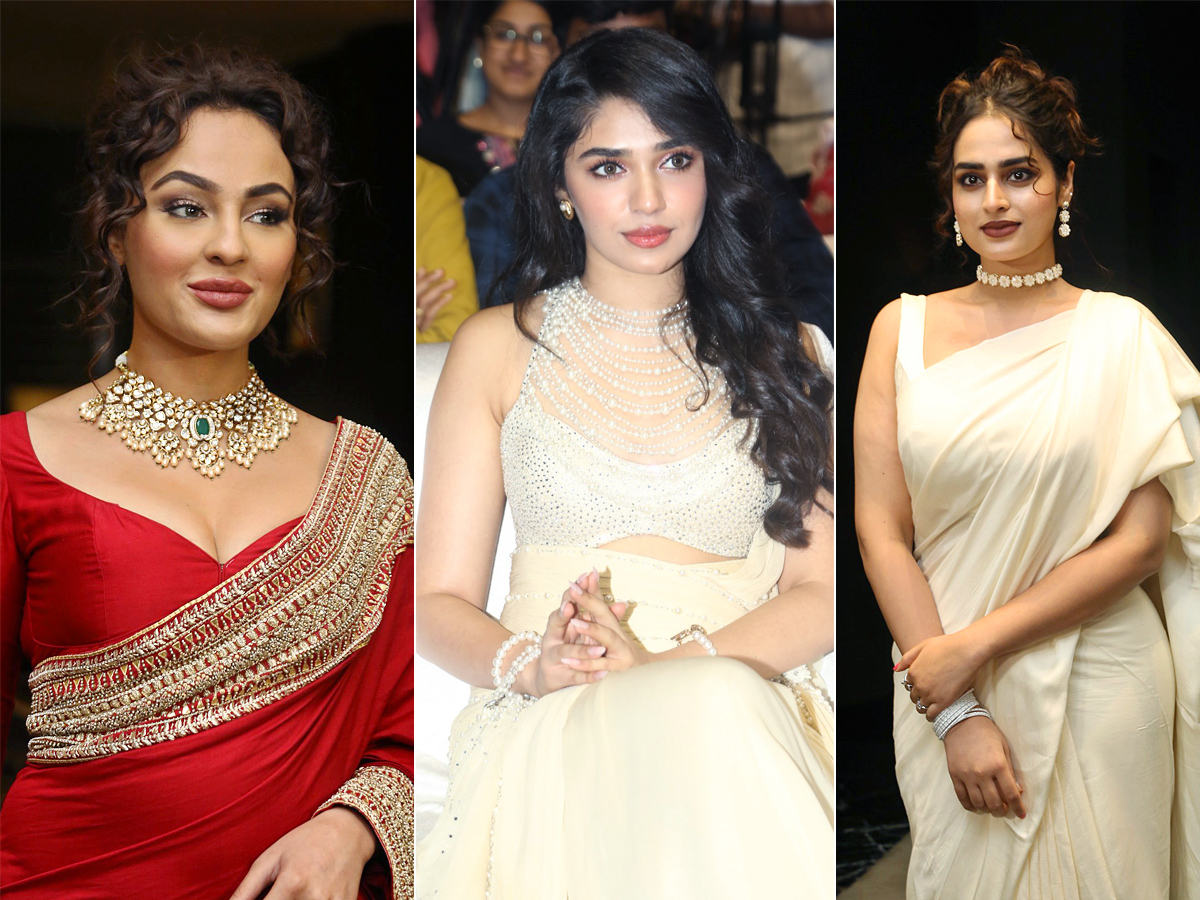 Manamey_20Movie_20Pre_20Release_20Event-1.jpg 1